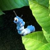 adorable caterpillar