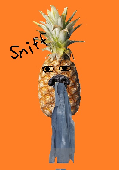 pineapples sniff shirts