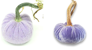 lavenderpumpkin