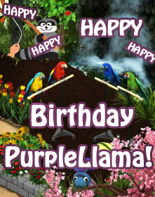 purplellamabirthdayfowzy