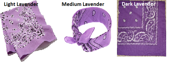 purplebandanaexamples