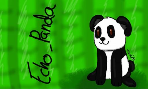 Echo_Panda-
