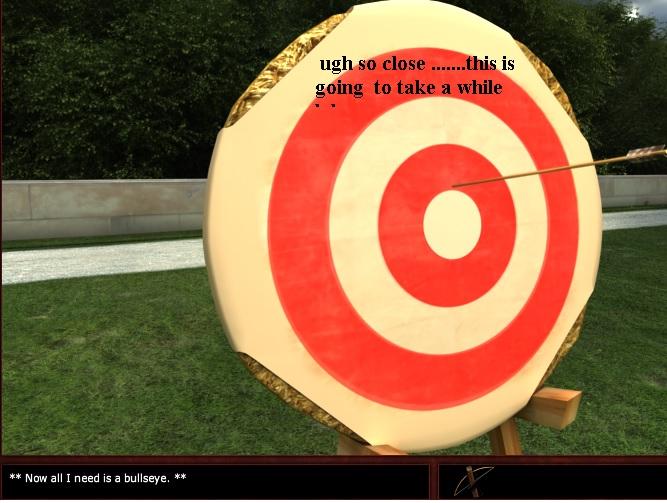 target practice