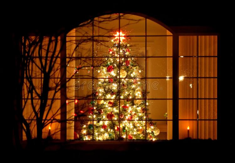welcome-home-christmas-tree-window-3849728