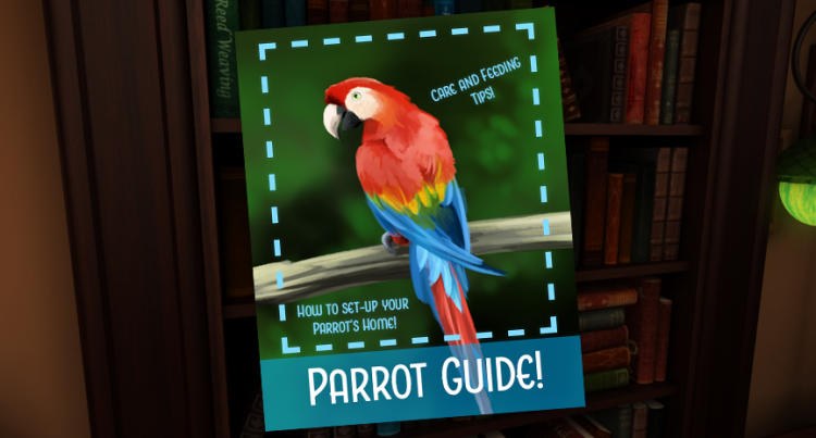 parrotbookframe_01