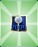 (1) 2009 New Year Pin