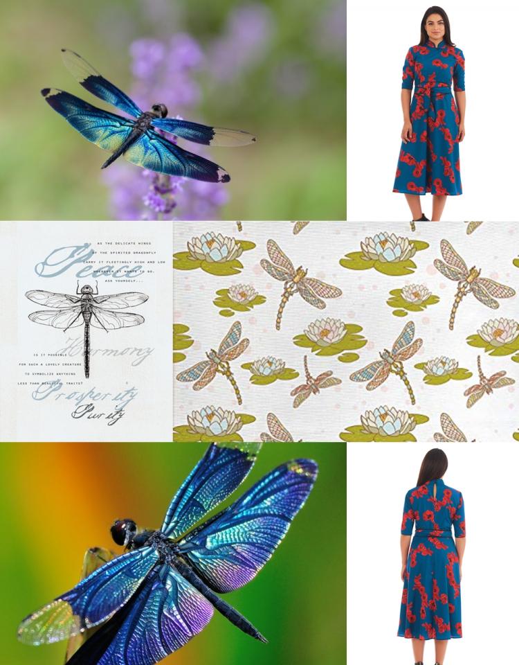 Dragon Fly Collage2