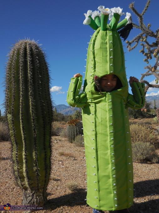 saguaro_cactus6