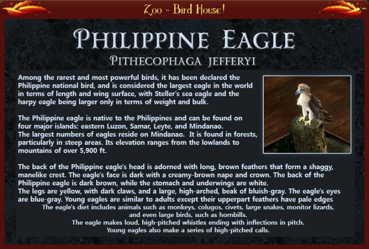 VFK Philippine EAGLE WOOOOOOOOOOOOOOT5