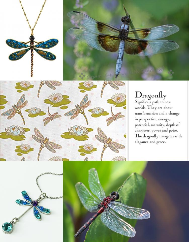 Dragon Fly Collage