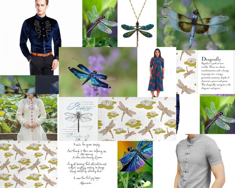 Dragon FLy COLLAGE of all time