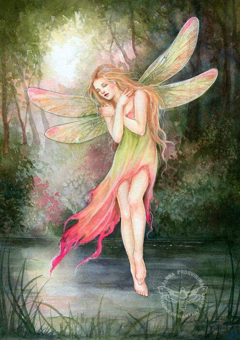 dragonfly fairy