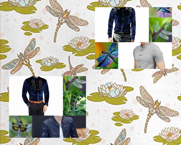 Dragon FLy COLLAGes