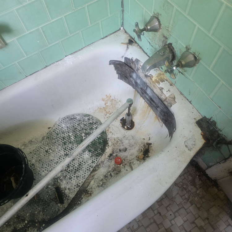 Gross Bathtub