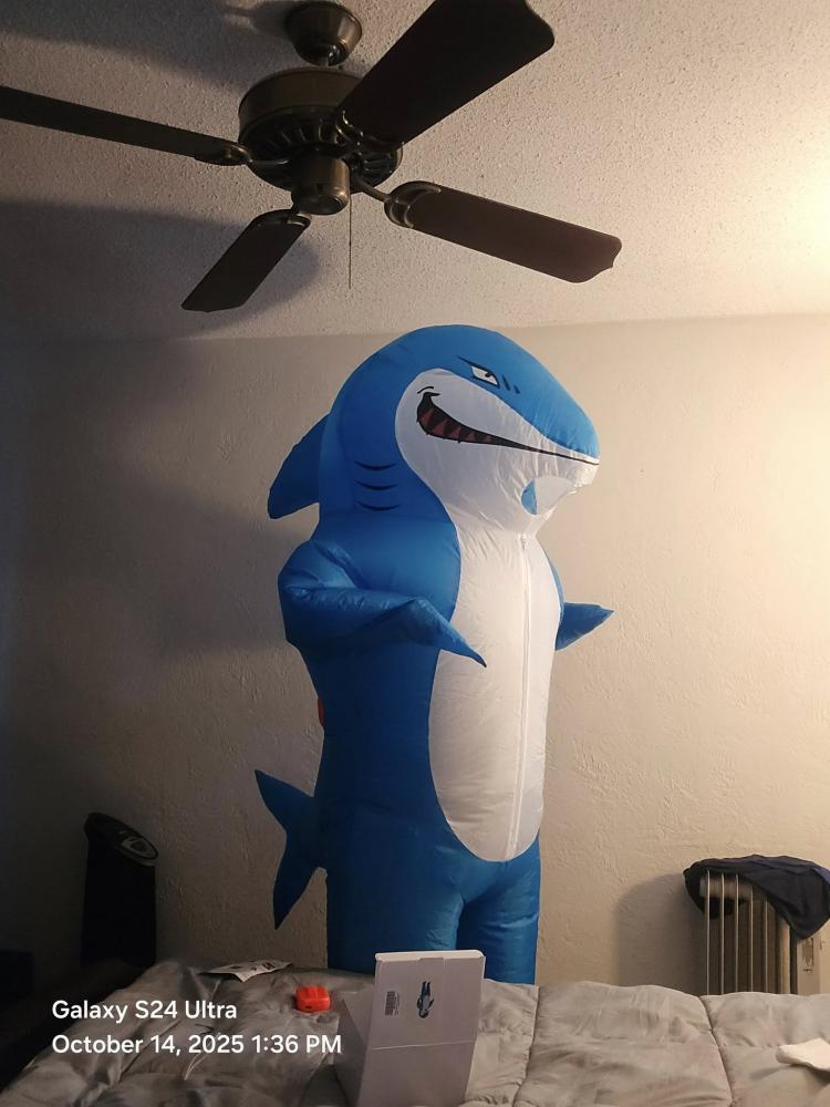 Tazz Costume 1