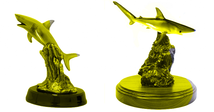 sharktrophy