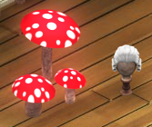 wig and toadstools